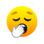 Boring