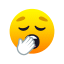 Boring