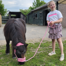 Noortje met pony