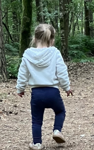 Fotoliggend Madelief