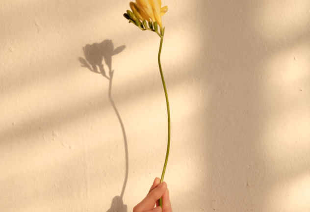 Deze bloem willen wij