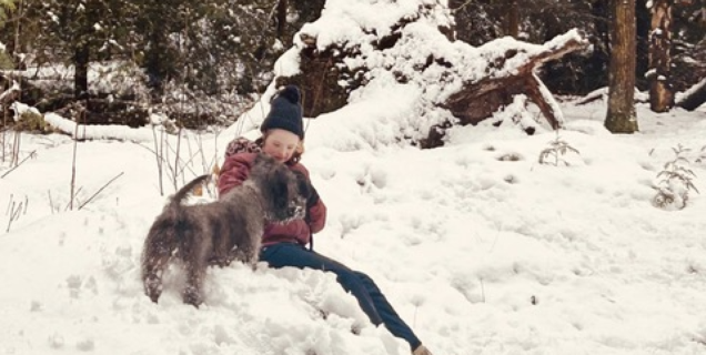 Lies met hond in de sneeuw