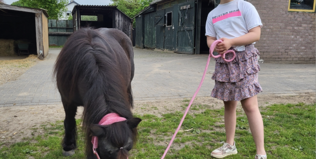 Noortje met pony