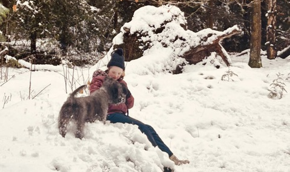 Lies met hond in de sneeuw